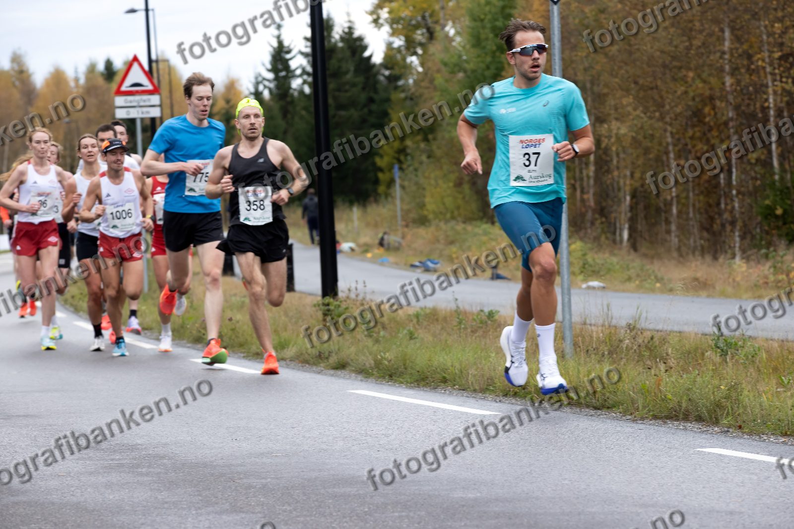 Erik Sand (37) · Anette Ødegård (36) · Truls Skarvøy (1006) · Sebastian Aas (775) · Grzegorz KKol (358)