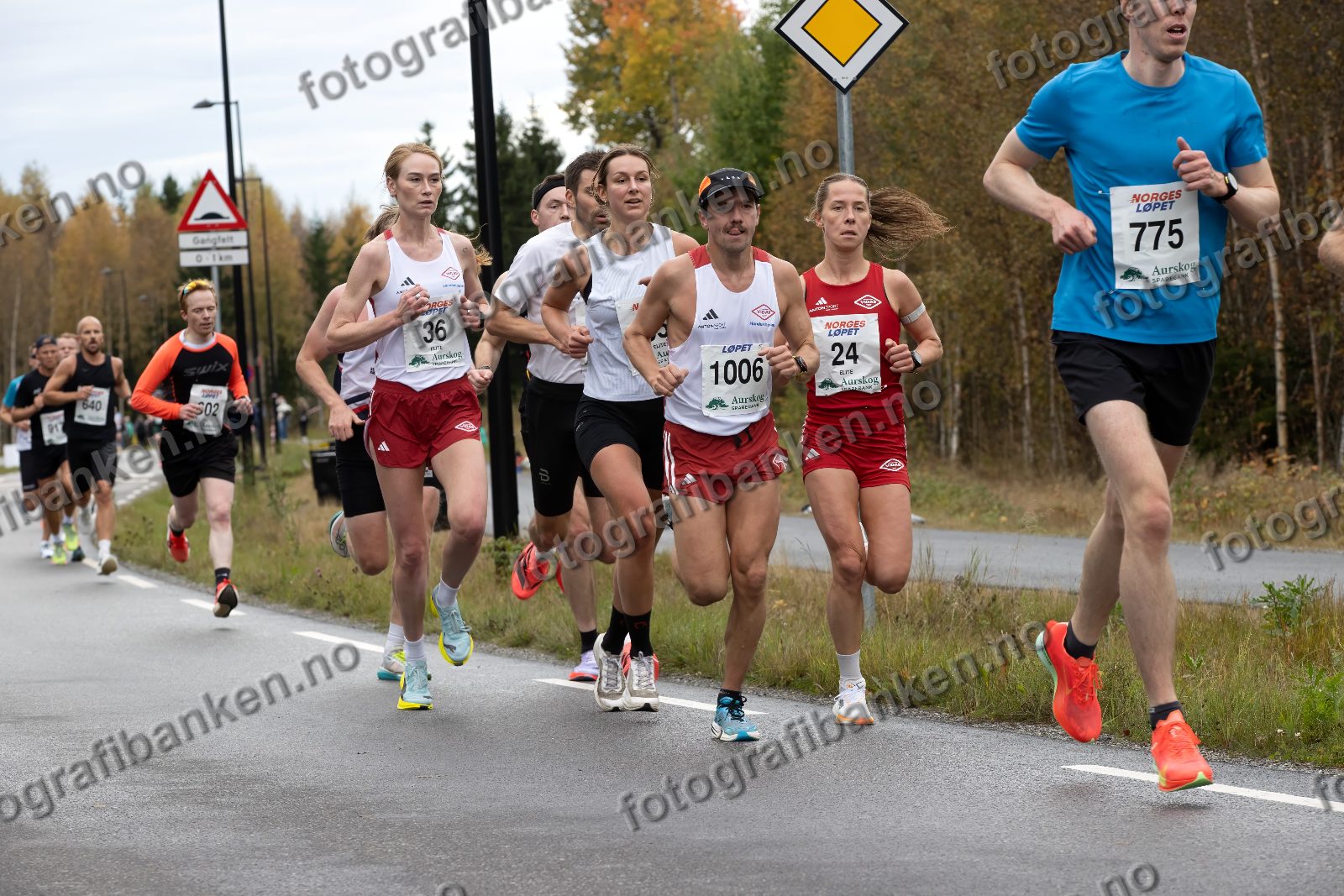 Anette Ødegård (36) · Truls Skarvøy (1006) · Mathilde Knutsen (24) · Sebastian Aas (775)