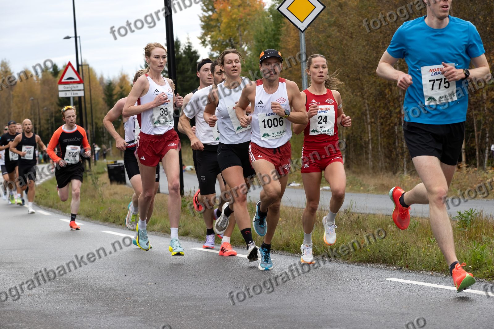 bl.a. Maria Jensen (35) · Truls Skarvøy (1006) · Mathilde Knutsen (24) · Sebastian Aas (775)