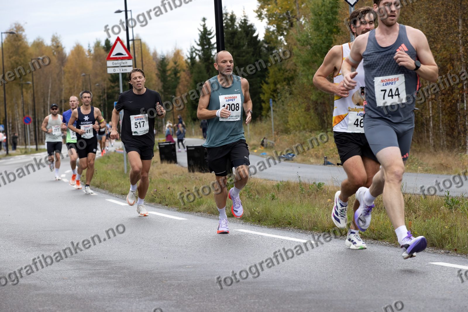 Viktor Wikstrøm (517) · Øystein Schønberg-Grevbo (1008) · Håkon Hovland (744)