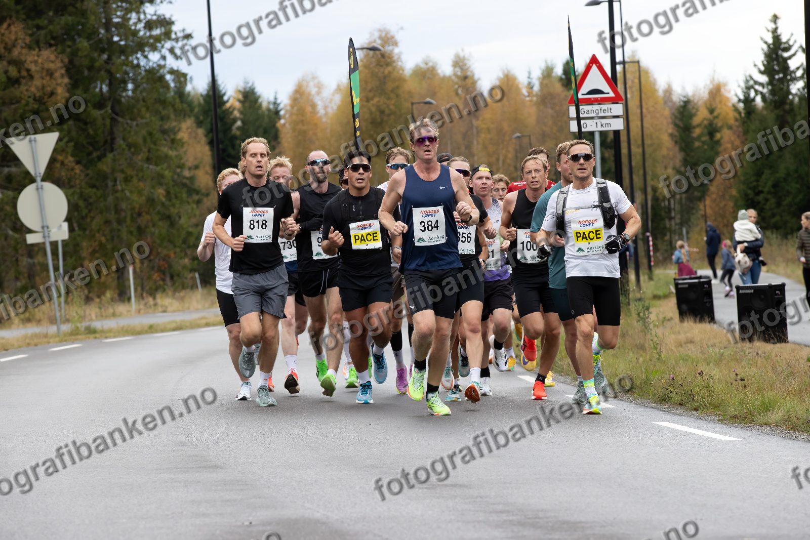 Bjørn Tore Jahnsen (384) · Ola Arvidsson (818) · Chris Eikå Skappel (58) · Anders Kjellen (67)