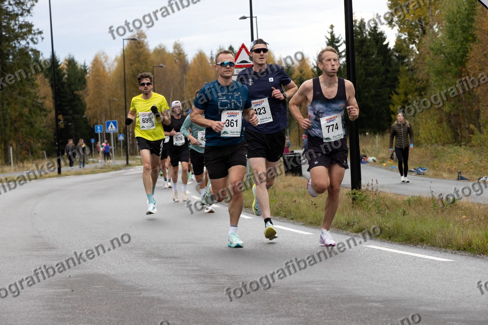 Robert Ekanger Heilmann (639) · Henrik Nedregård (361) · Kristian Husa (423) · Tarald Husevåg Gaup (774)