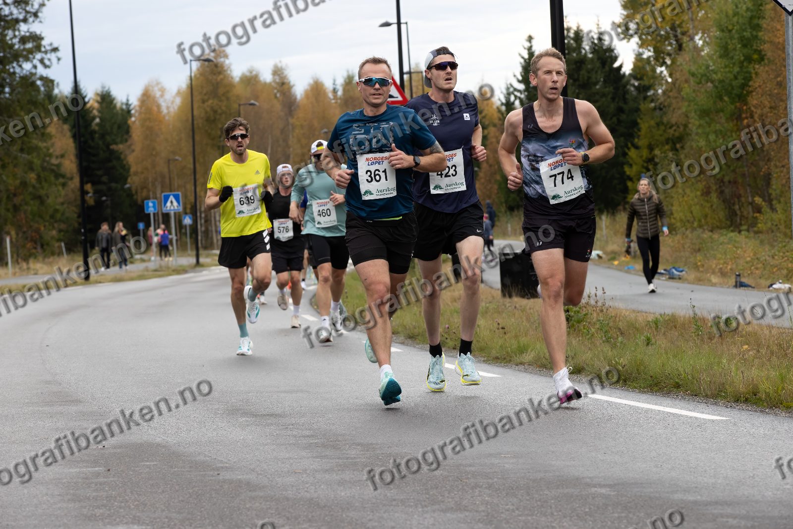 Henrik Nedregård (361) · Robert Ekanger Heilmann (639) · Kristian Husa (423) · Tarald Husevåg Gaup (774)