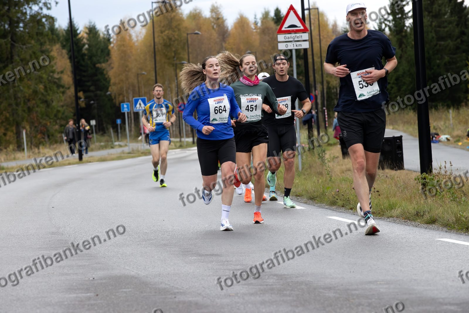 Michelle Bang Widding (664) · Ingeborg Mørck (451) · Emil Ystenæs Dahl (869) · Mats Løvstad (538)