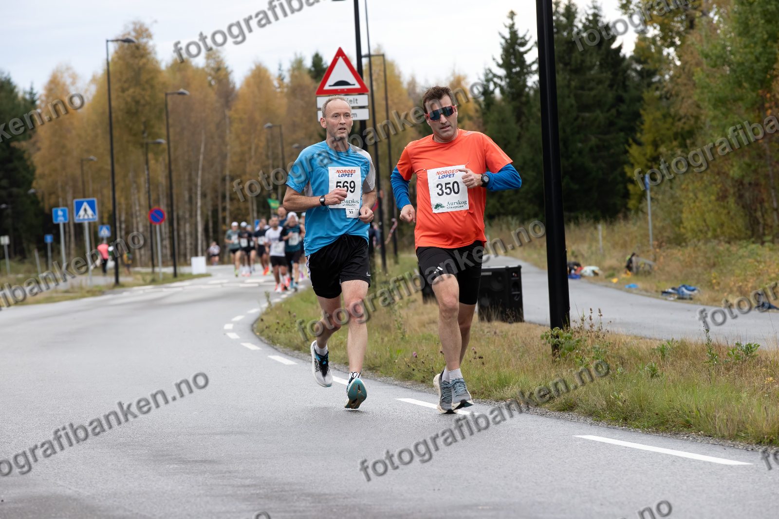 Martin Seierstad (569) · Helge Andersen (350)
