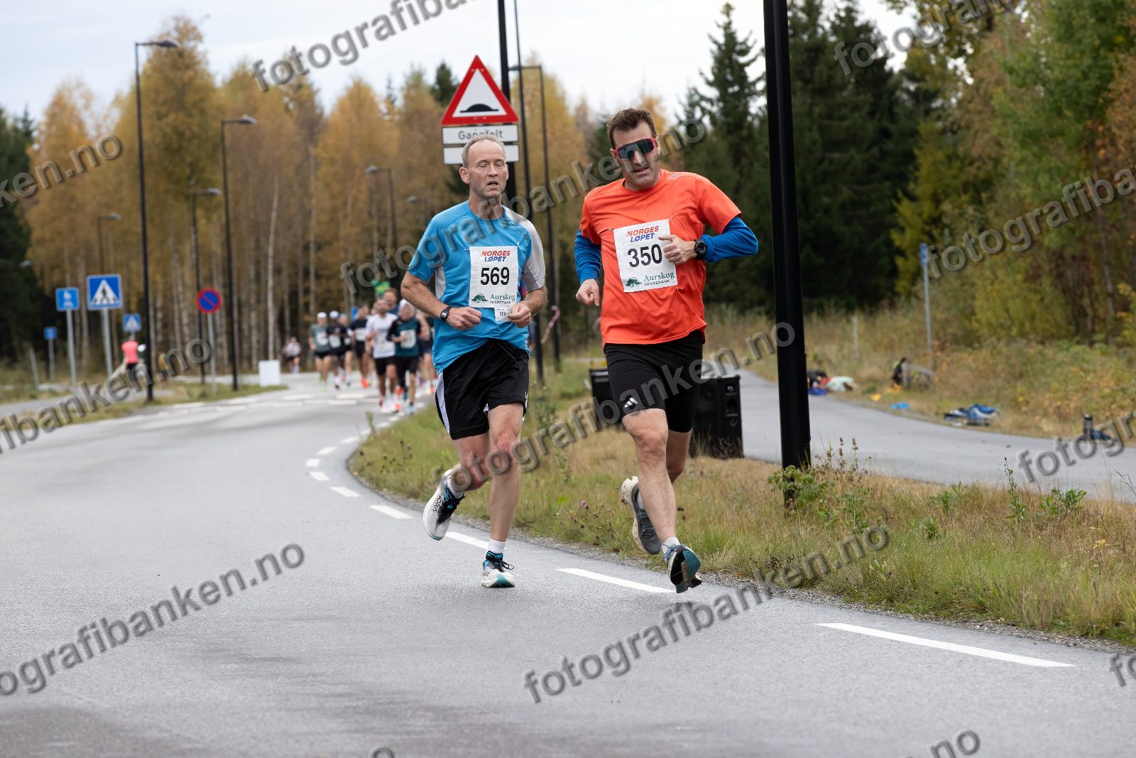 Martin Seierstad (569) · Helge Andersen (350)