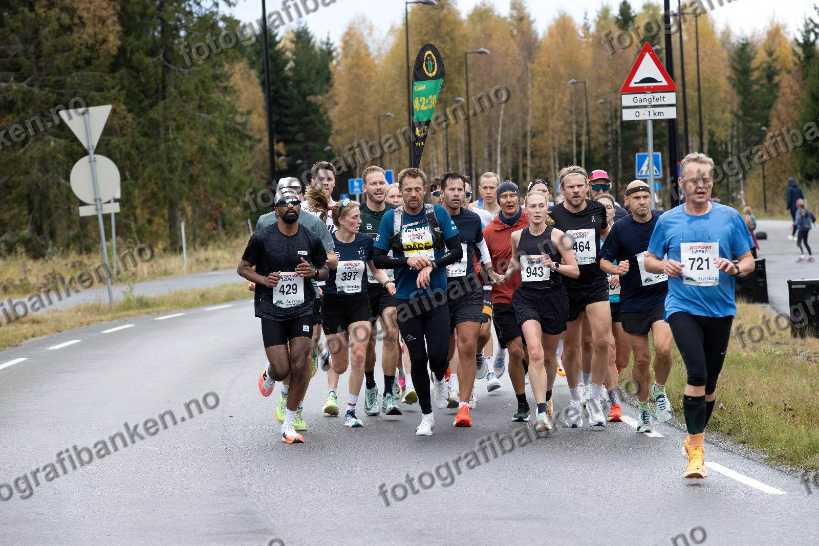 Nirupan Kandasamy (429) · Line Golberg (397) · Andrea Furuseth (943) · Jens Walter (464) · Bernt Hoff (721)