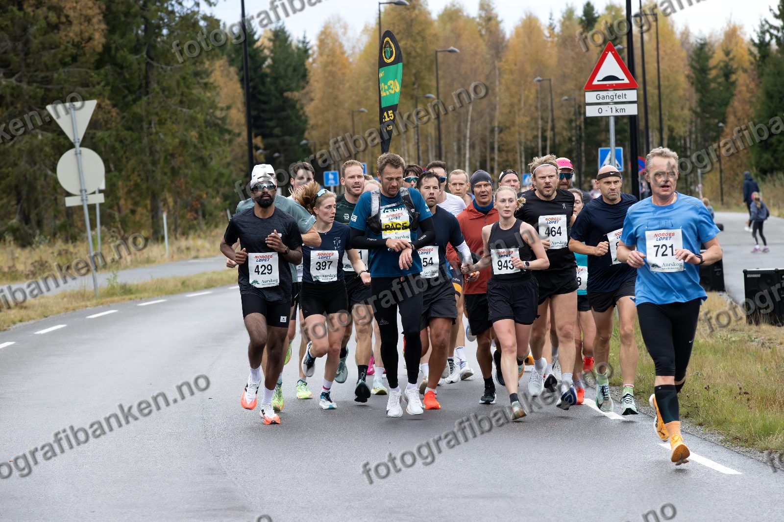 Nirupan Kandasamy (429) · Line Golberg (397) · Andrea Furuseth (943) · Jens Walter (464) · Bernt Hoff (721)