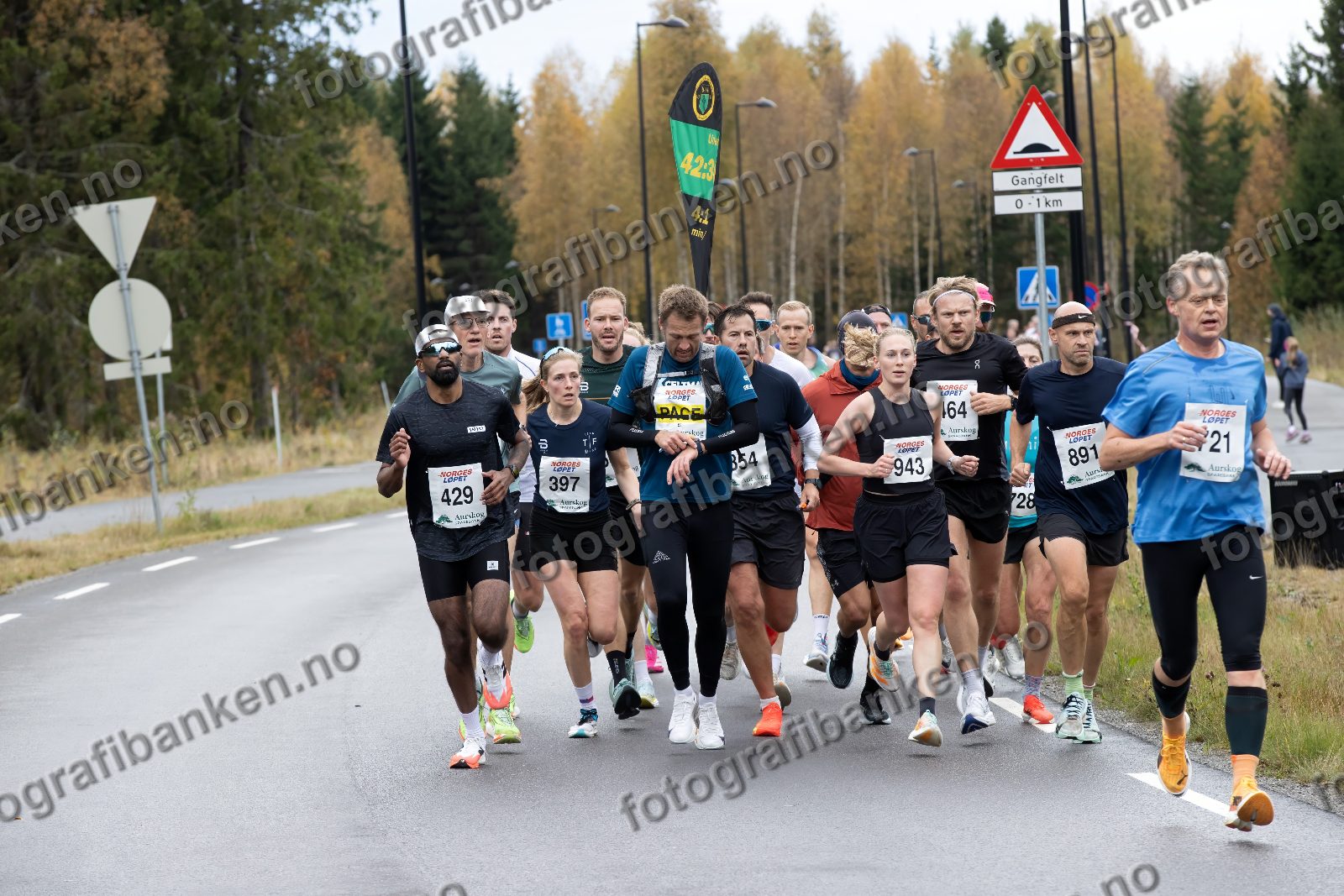 bl.a. Line Golberg (397) · Andrea Furuseth (943) · Jens Walter (464) · Erling Moe (891) · Bernt Hoff (721)