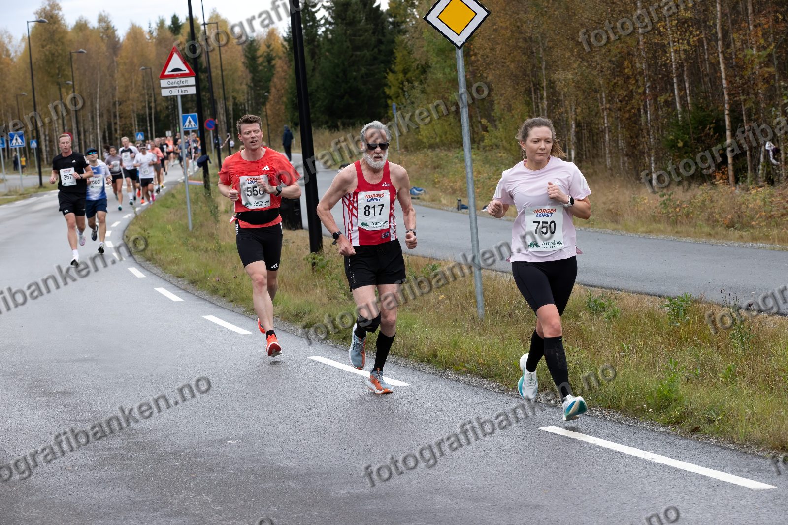 Anders Lillebo (558) · Øystein Syversen (817) · Katrine Fauskanger (750)