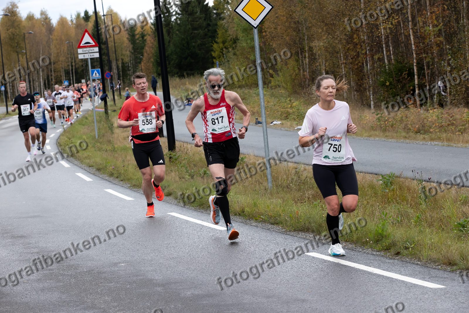 Anders Lillebo (558) · Øystein Syversen (817) · Katrine Fauskanger (750)