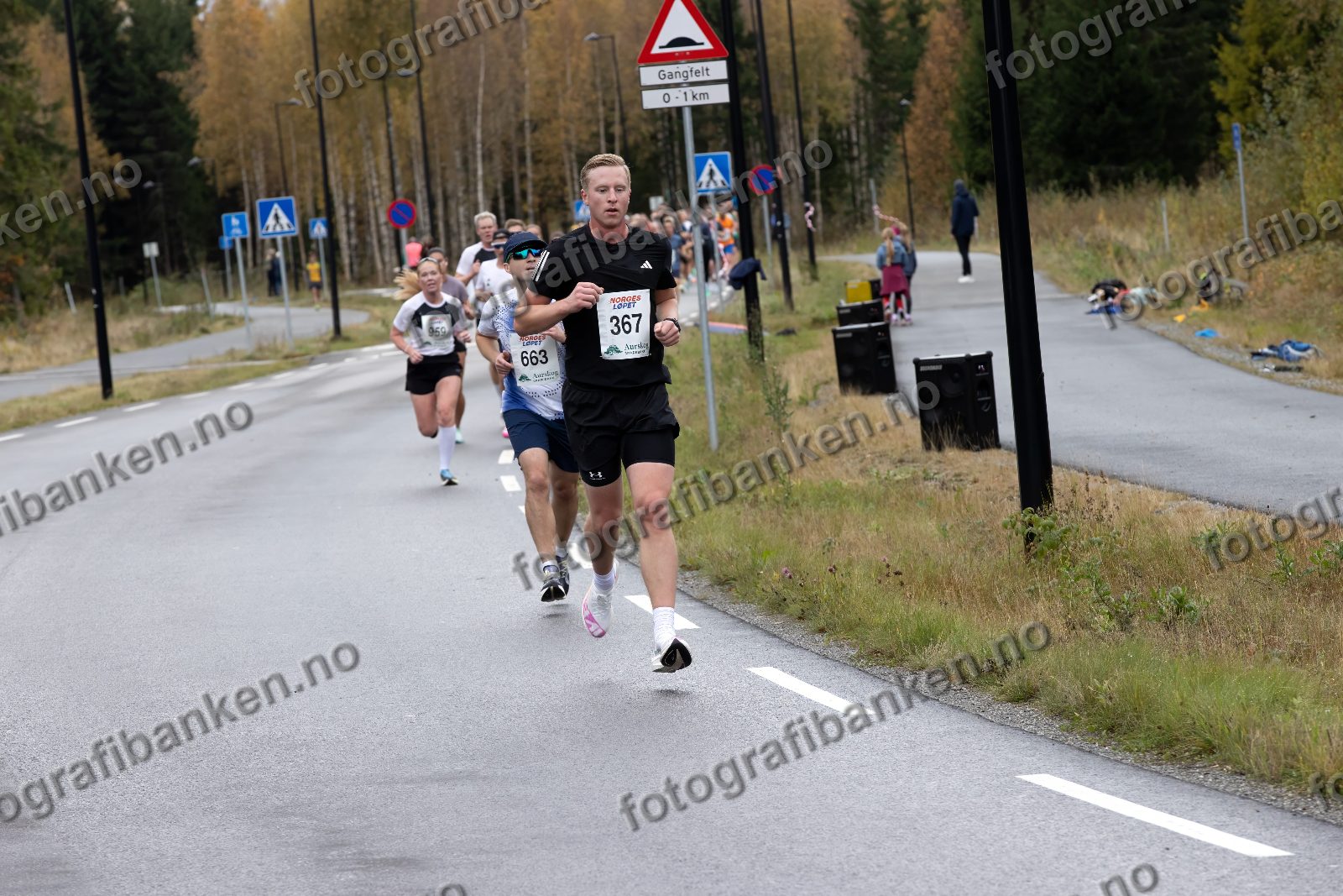 Lise-Sophie Hansen (959) · Andrei Tarus (663) · Oliver Persson (367)