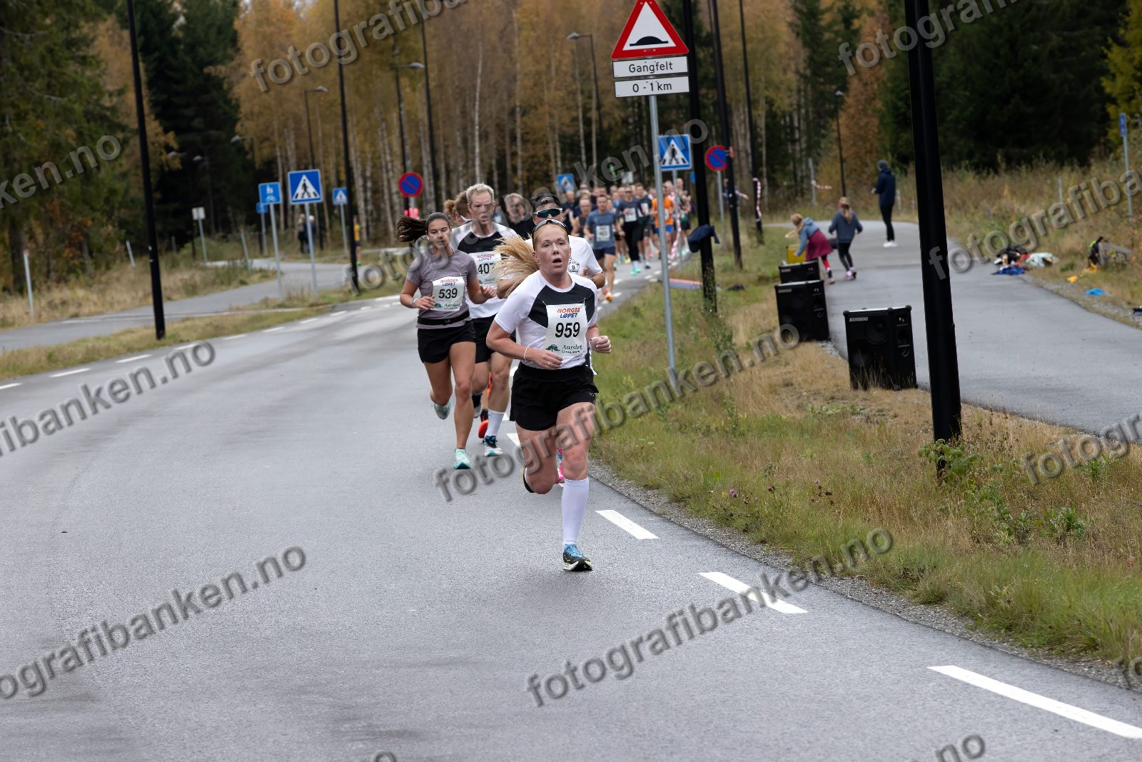 Linnea Børresen Lecomte (539) · Hans Martin Forfot (407) · Lise-Sophie Hansen (959)