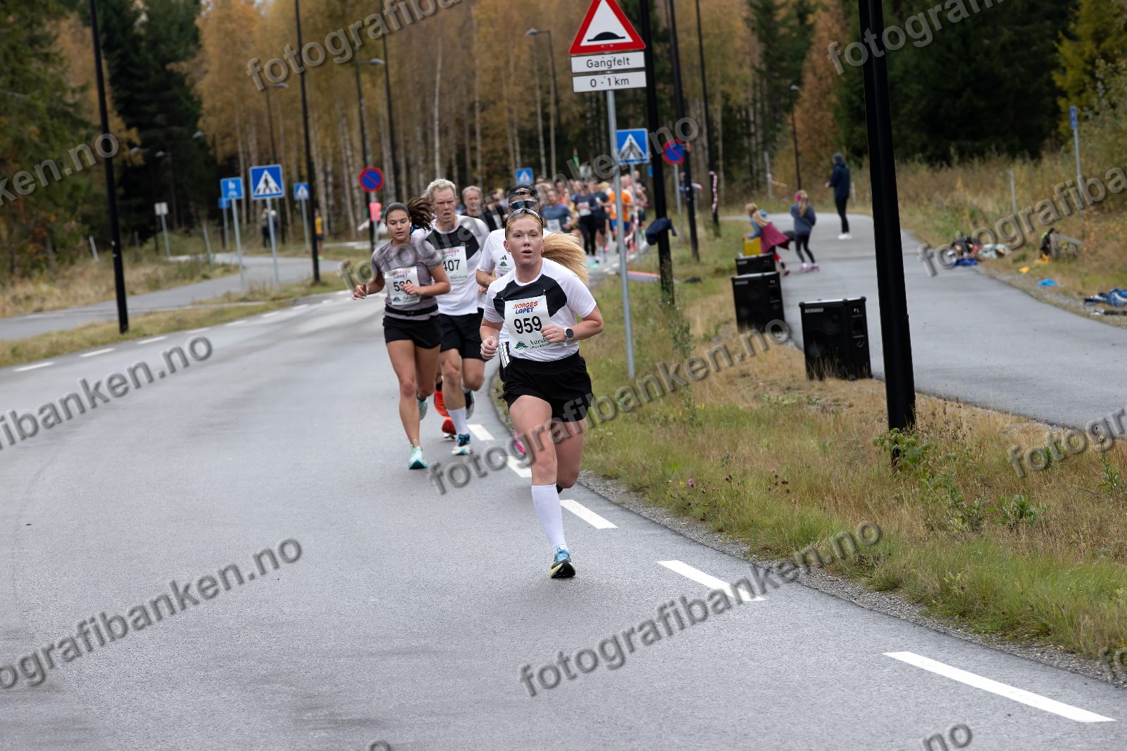 Lise-Sophie Hansen (959) · Linnea Børresen Lecomte (539) · Hans Martin Forfot (407)