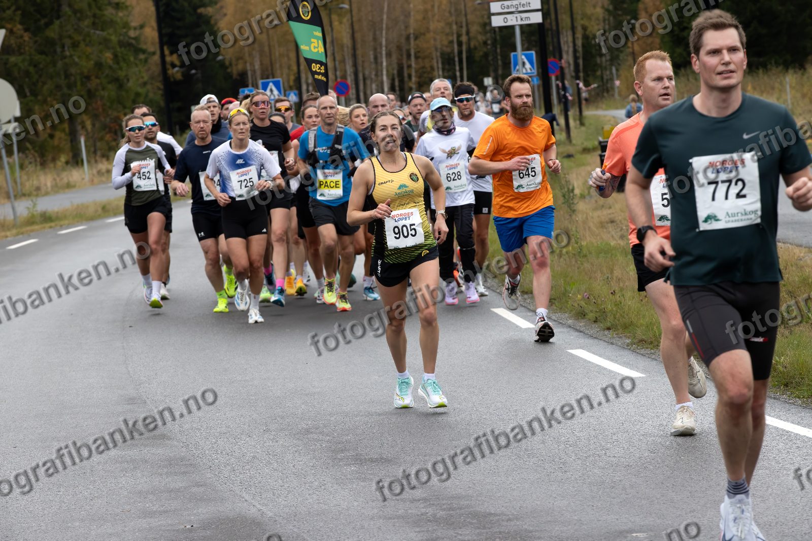Adna Tahirovic (905) · Anders Leirud (645) · Audun Rommetveit Celius (772)