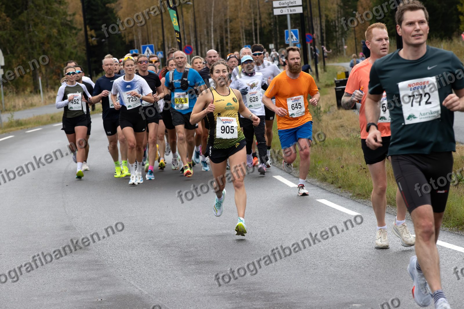 Adna Tahirovic (905) · Anders Leirud (645) · Audun Rommetveit Celius (772)