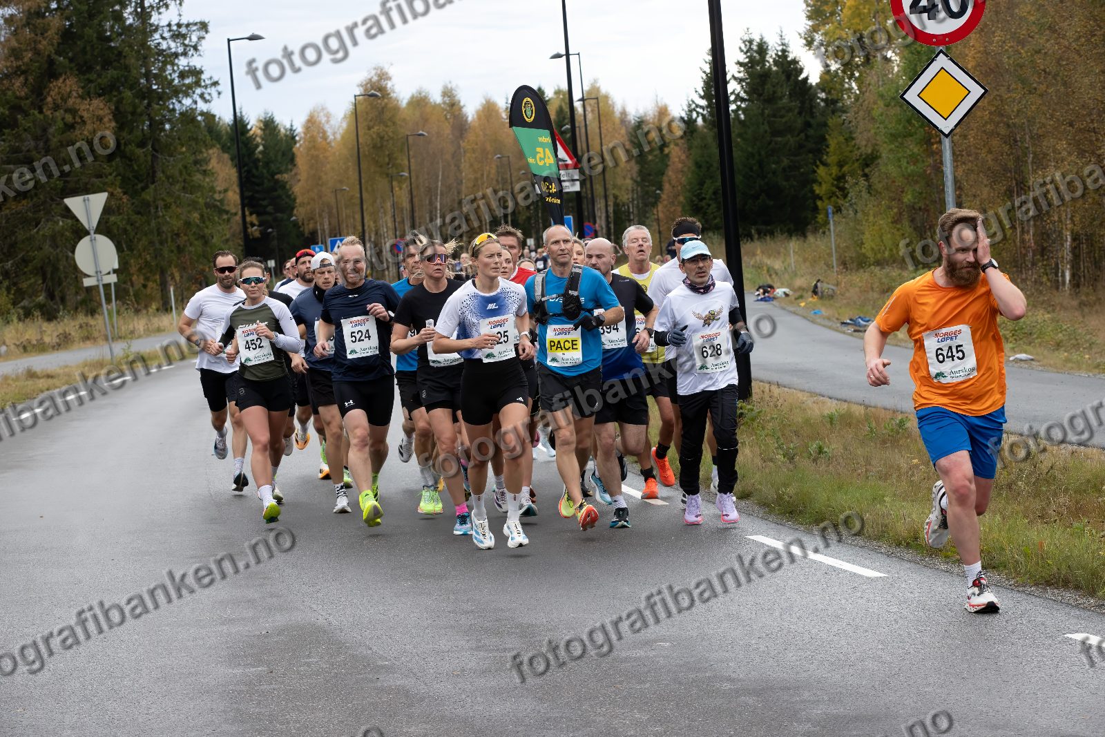 bl.a. Nora Sundet (452) · Odd Maarud (524) · Ellen Einvik (801) · Mari Vatn (725) · Marco Marongiu (628)