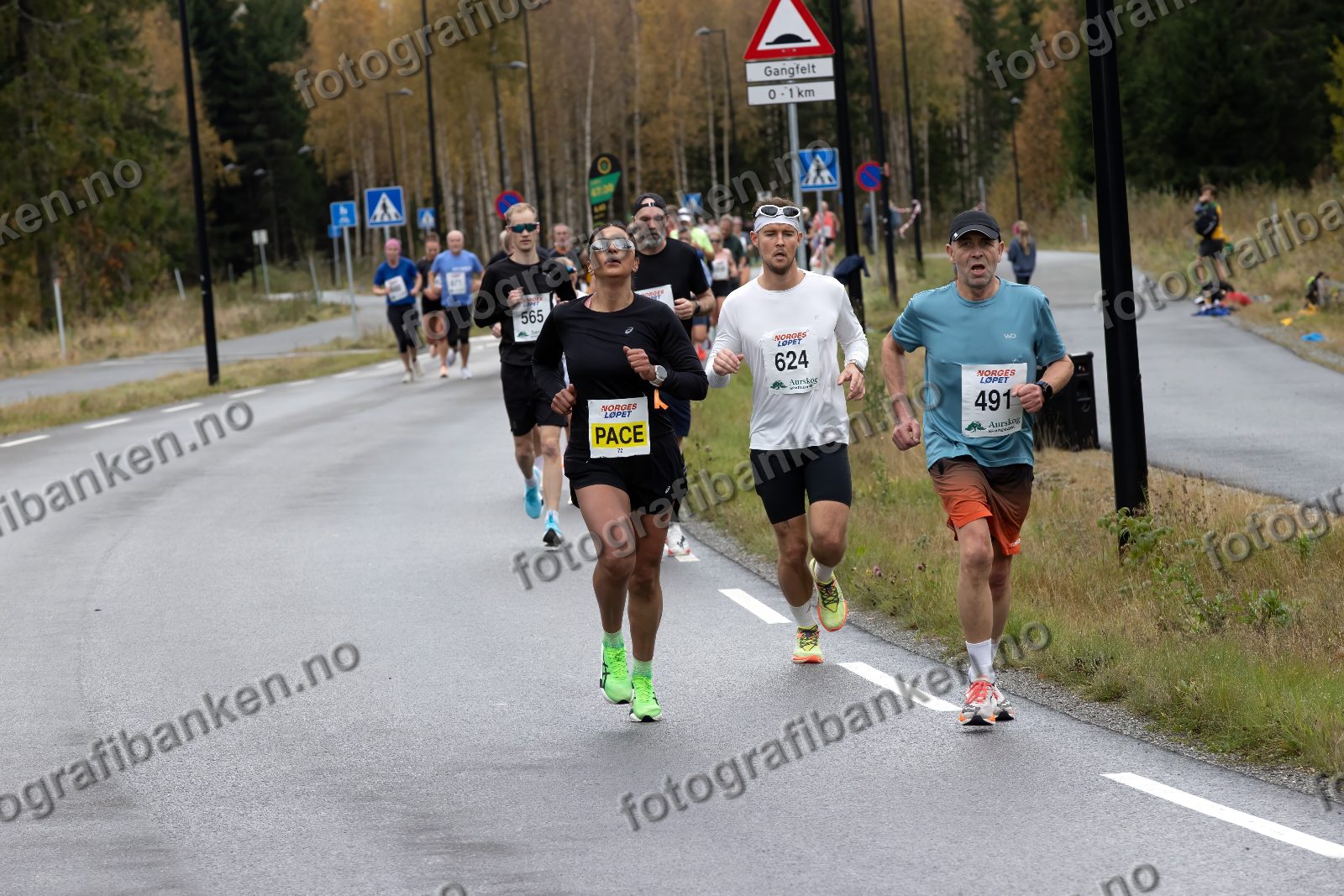 Khoula Ahmed (72) · Audun Braastad (565) · Daniel Østerud Olsen (624) · Erik Røhne Andersen (491)