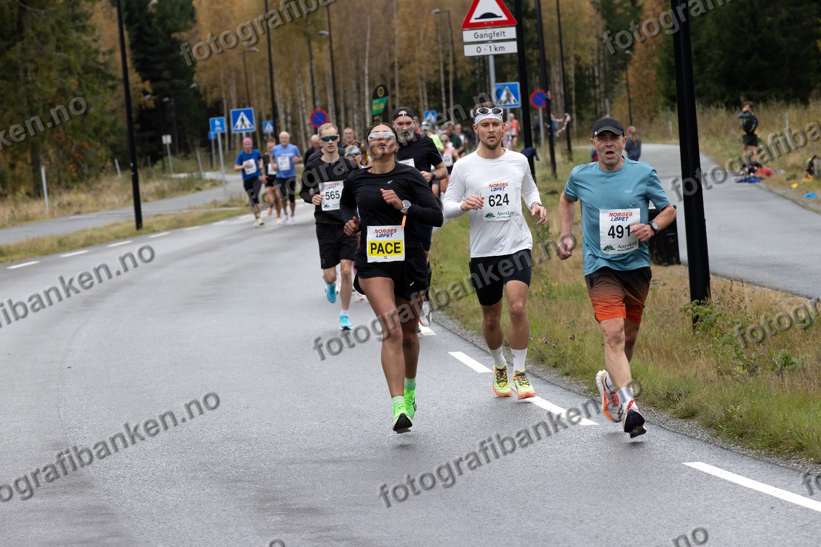 Khoula Ahmed (72) · Audun Braastad (565) · Daniel Østerud Olsen (624) · Erik Røhne Andersen (491)
