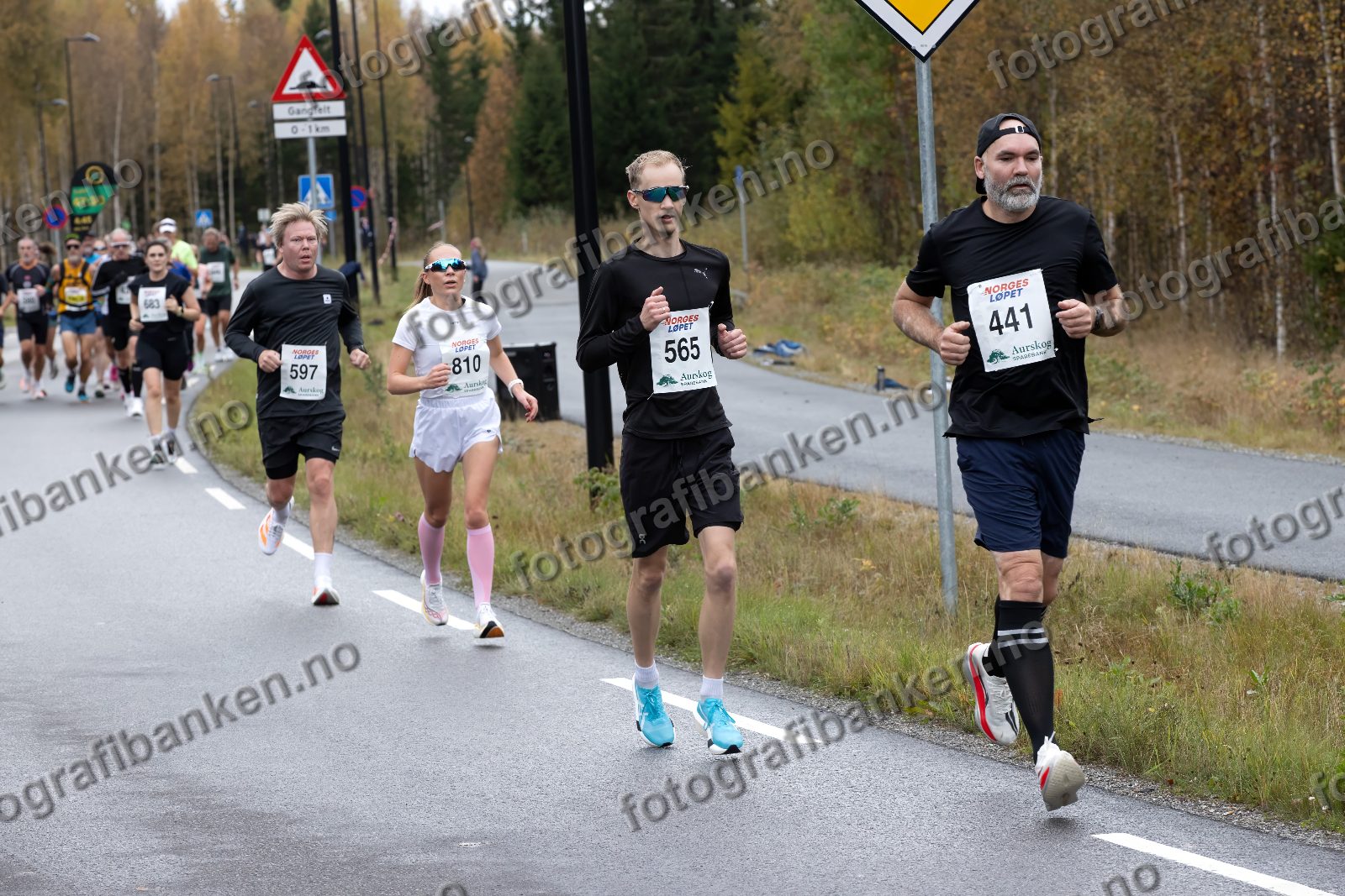 Øystein Kristoffer Paulsen (441) · Bjørn Ringen (597) · Tuva Kanutta Hansen (810) · Audun Braastad (565)