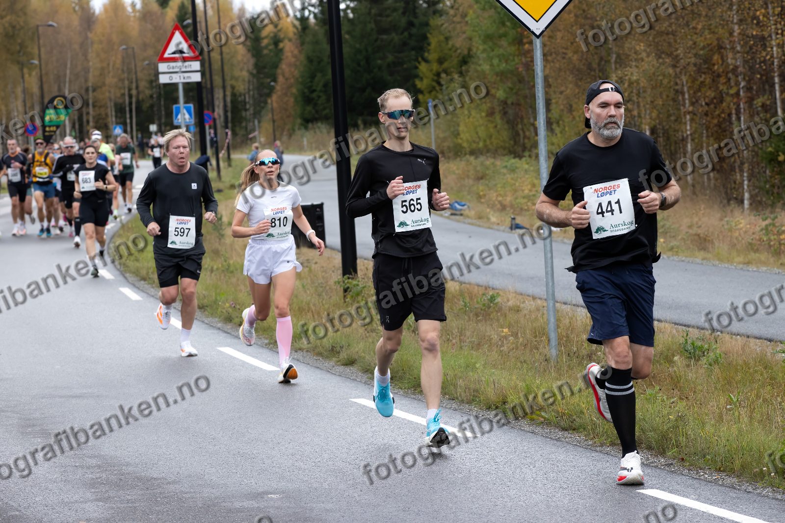 Øystein Kristoffer Paulsen (441) · Bjørn Ringen (597) · Tuva Kanutta Hansen (810) · Audun Braastad (565)