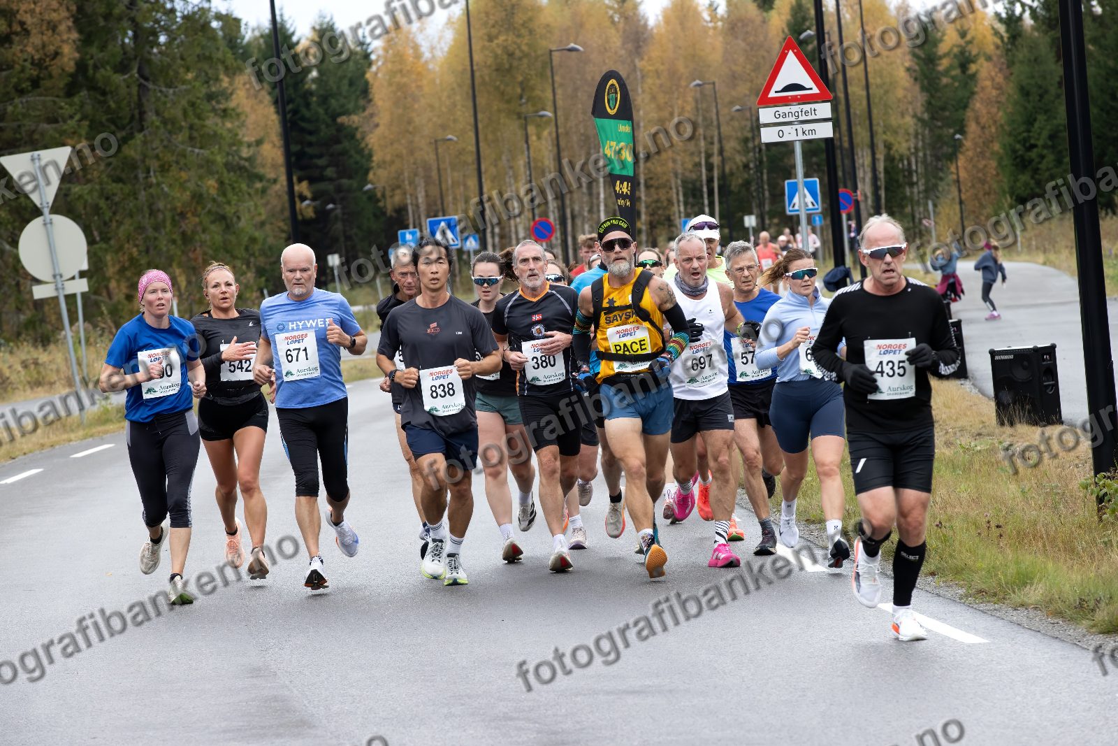 bl.a. Dae Kim (838) · Geir Engesæter (380) · Tonny Skogsholm (697) · Karen Dalby (644) · Trond Kiserud (435)