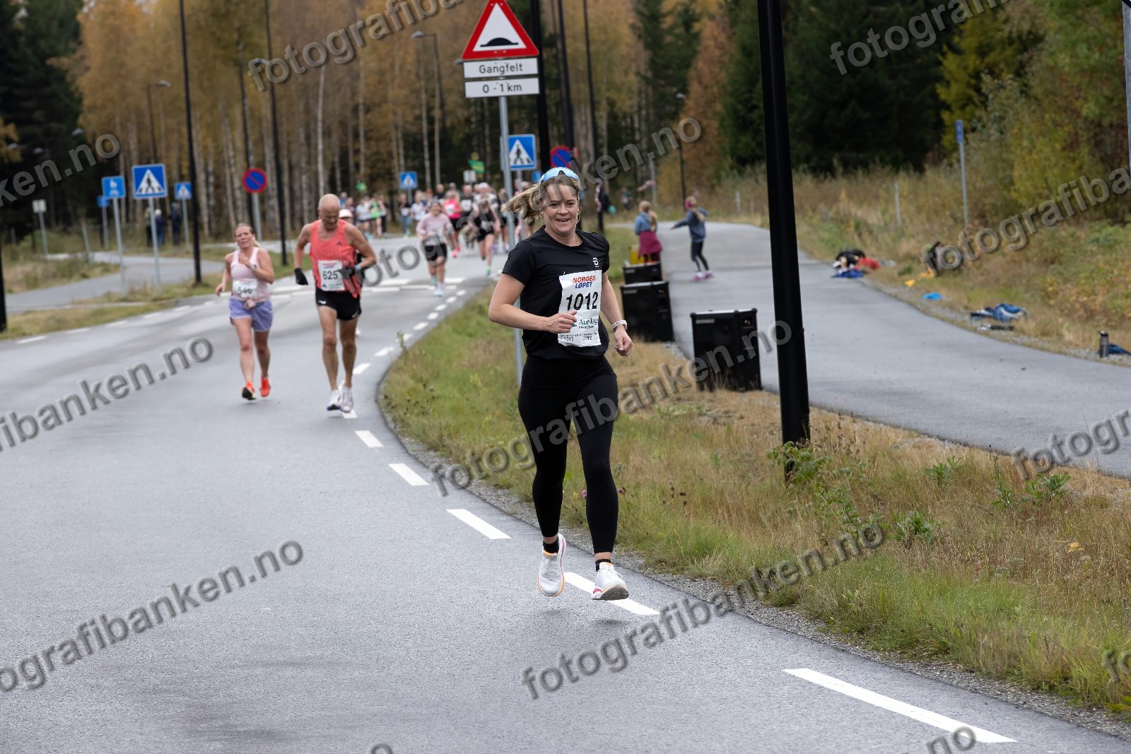Kristin Høgetveit (1012) · Carl Aamodt (625)