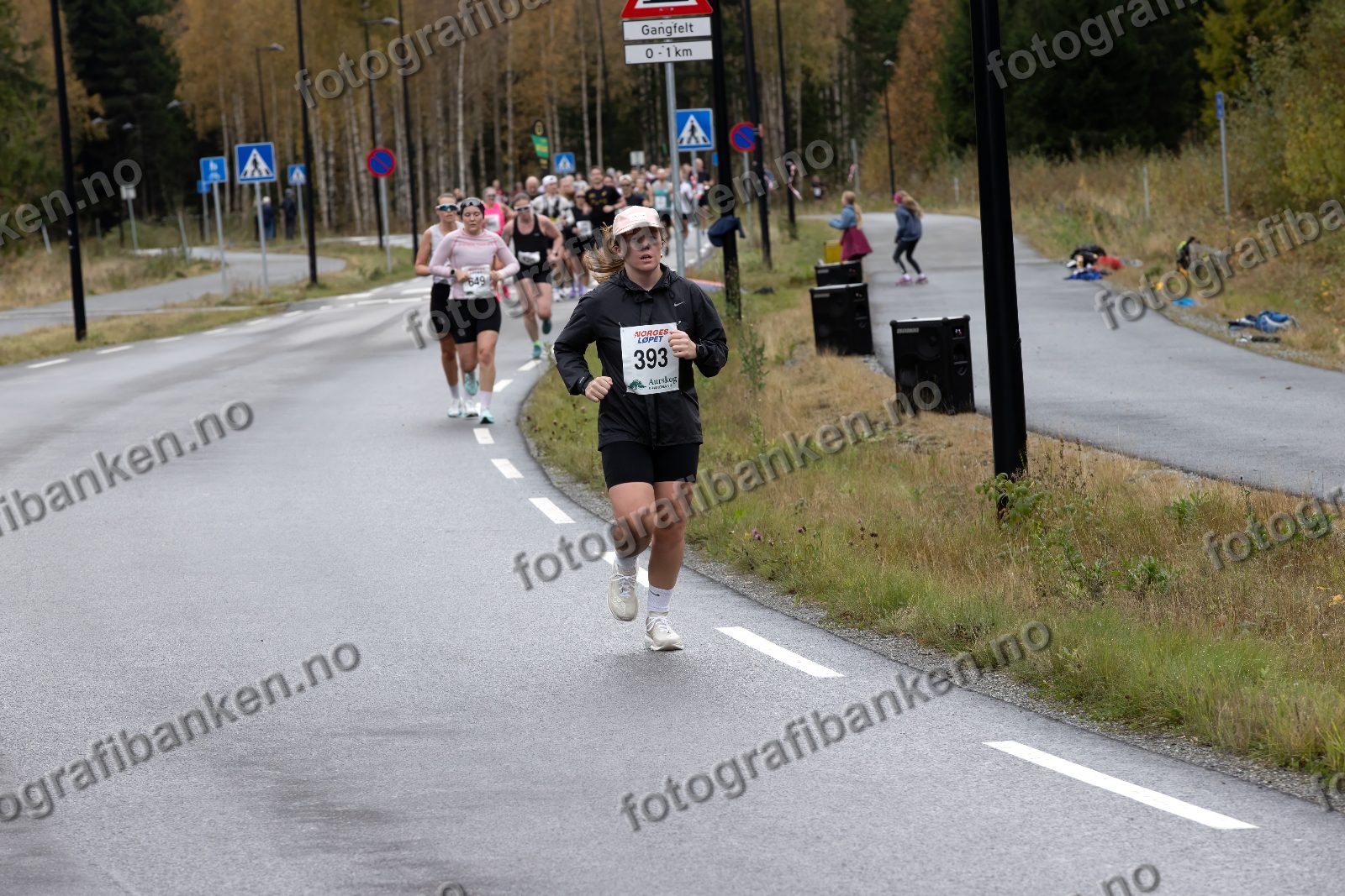 Vilde Skjærstad (393)