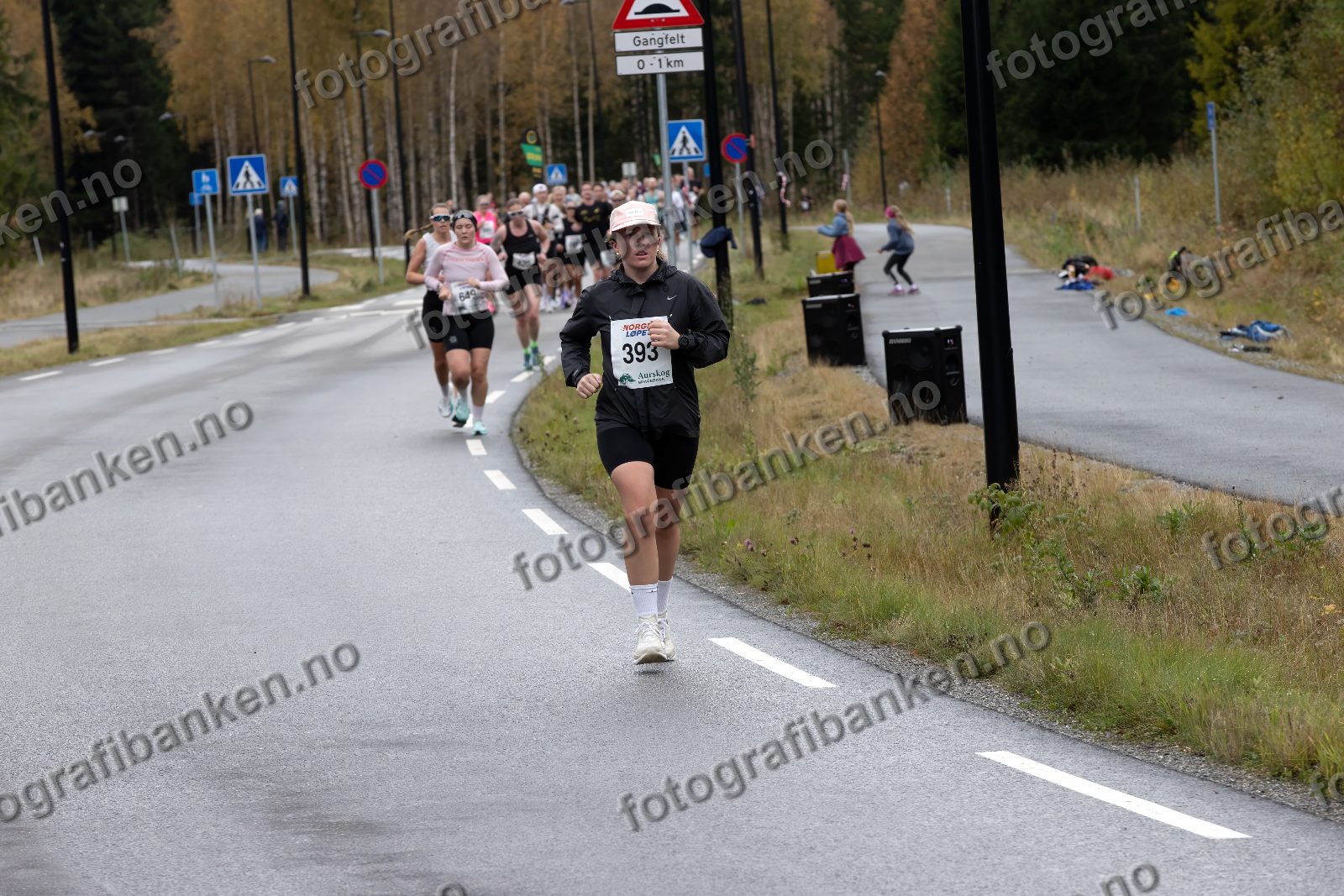 Vilde Skjærstad (393)