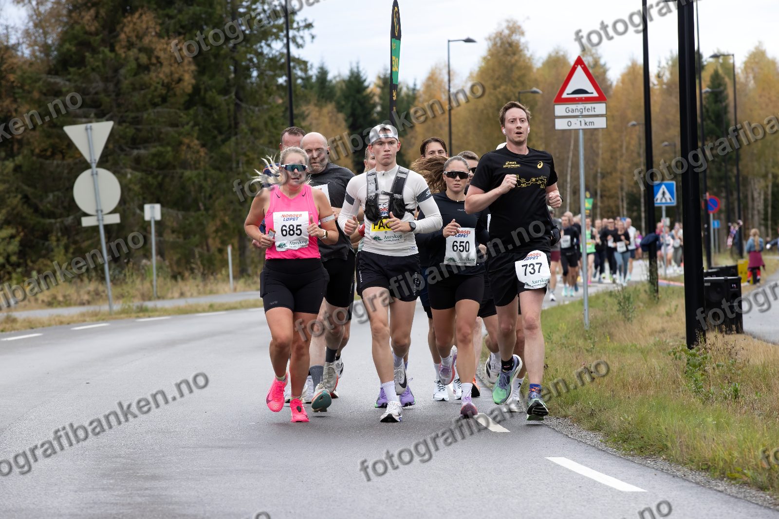 Anette Osgjelten (685) · Venus Abraham Teffera (62) · Vilde Nygaard-Kristiansen (650) · Richard Crispin (737)
