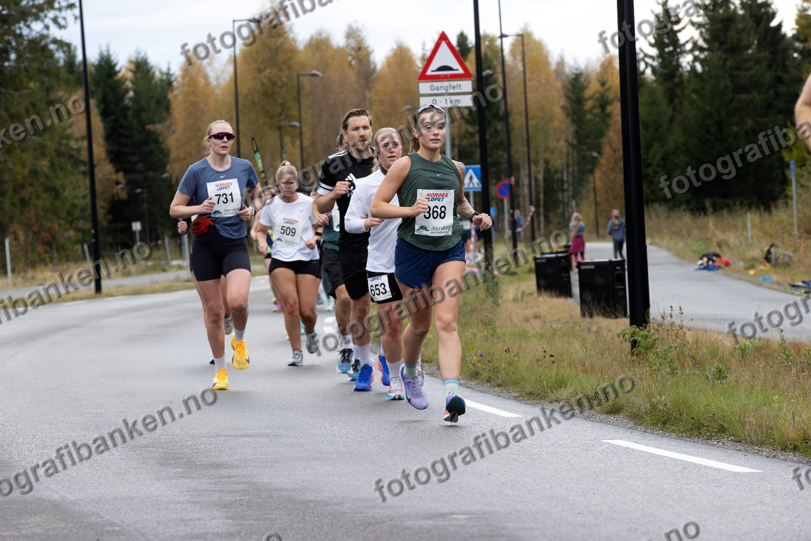 Ida Lyckander (731) · Julie Heltne (509) · Synne Mathiesen (653) · Marte Strand Bjørndalen (368)