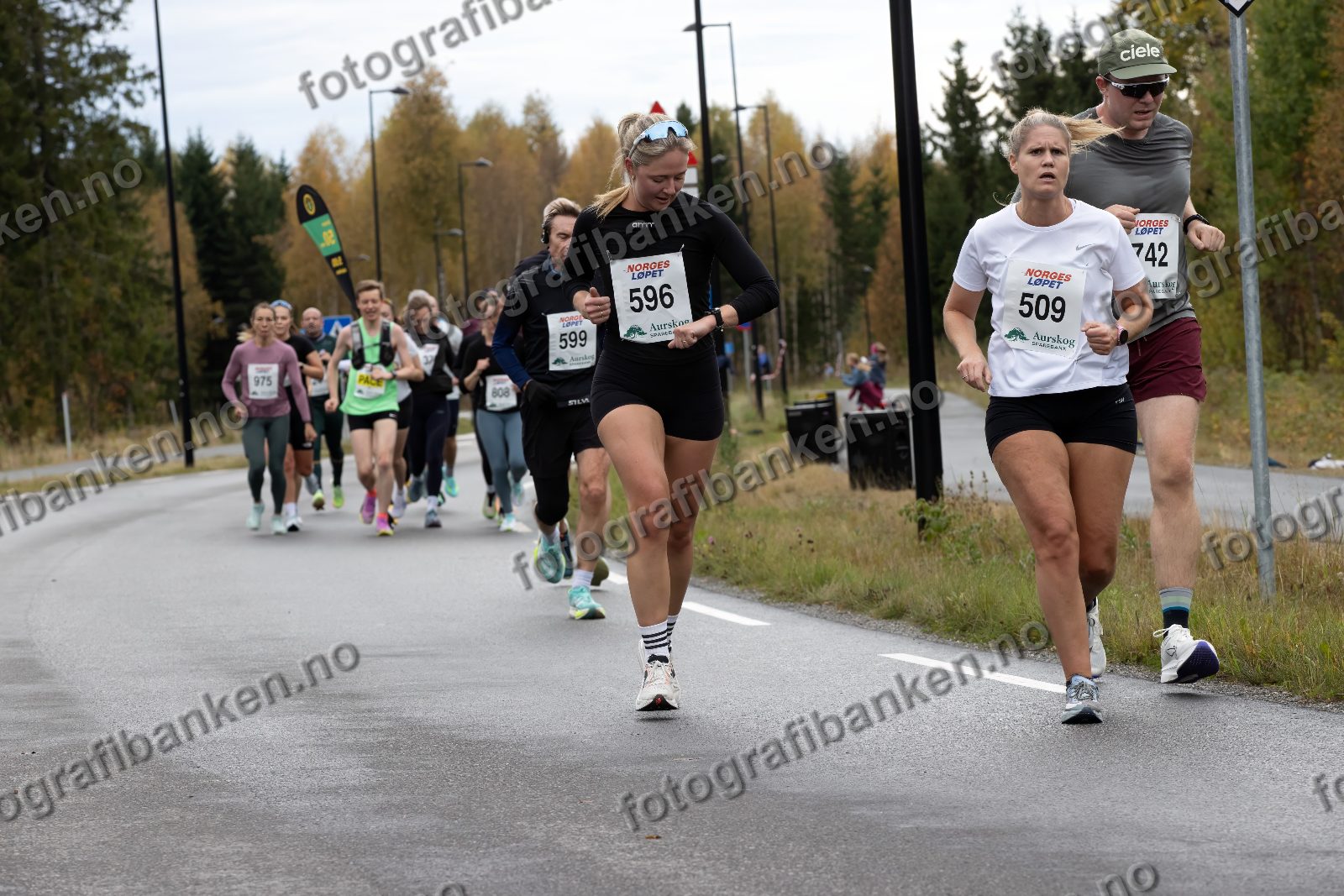 Guro Haga (596) · Julie Heltne (509) · Martin Lyckander (742)