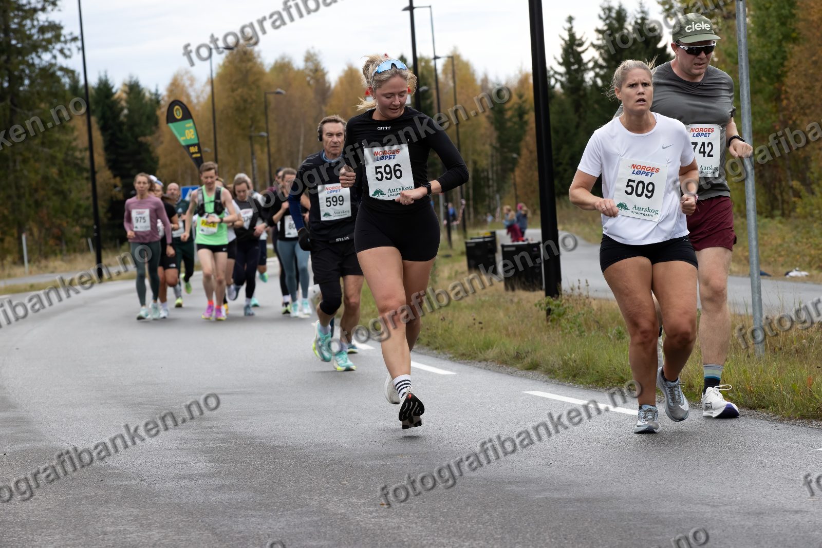 Guro Haga (596) · Julie Heltne (509) · Martin Lyckander (742)