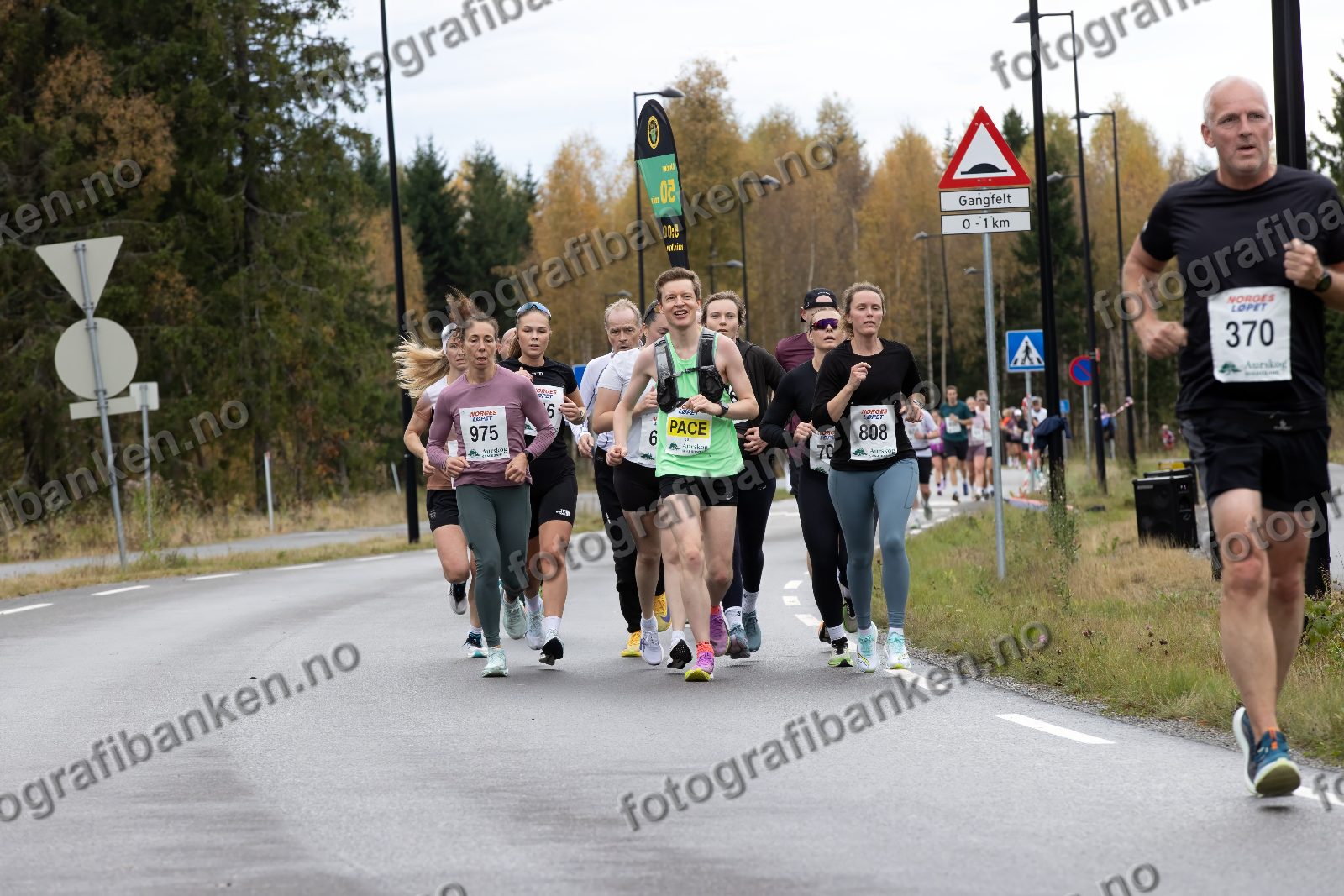 Glenn Terje Lien (370) · Judit Somogyi (975) · Kristian Riiser (68) · Ragnhild Hammeren (808)