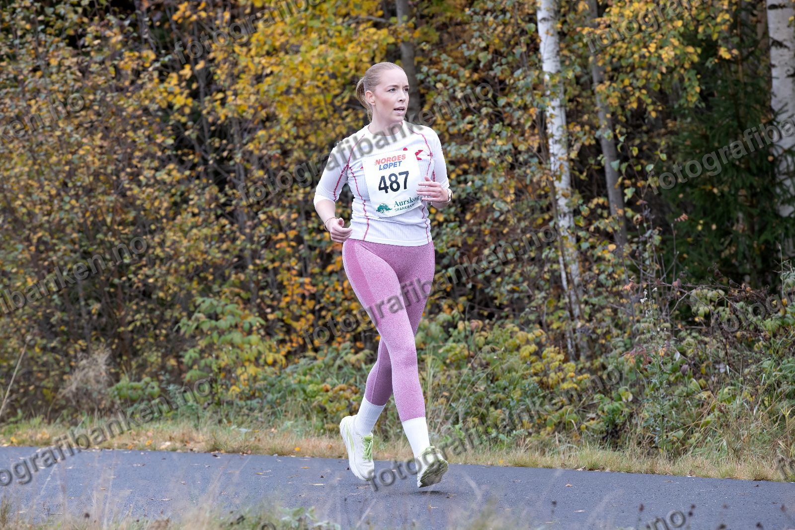 Martine Aurora Andersen (487)