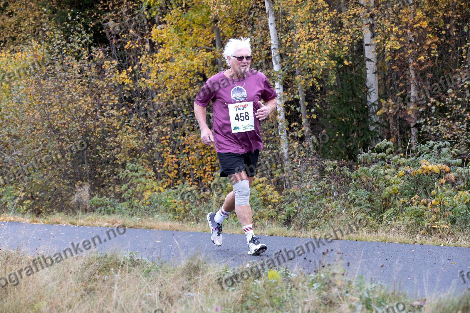 Arne Alfei Martinsen (458)