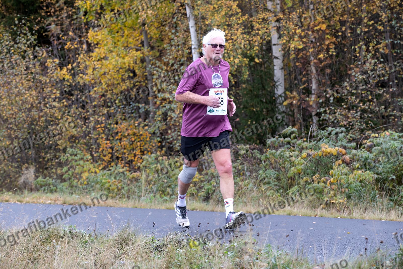 Arne Alfei Martinsen (458)
