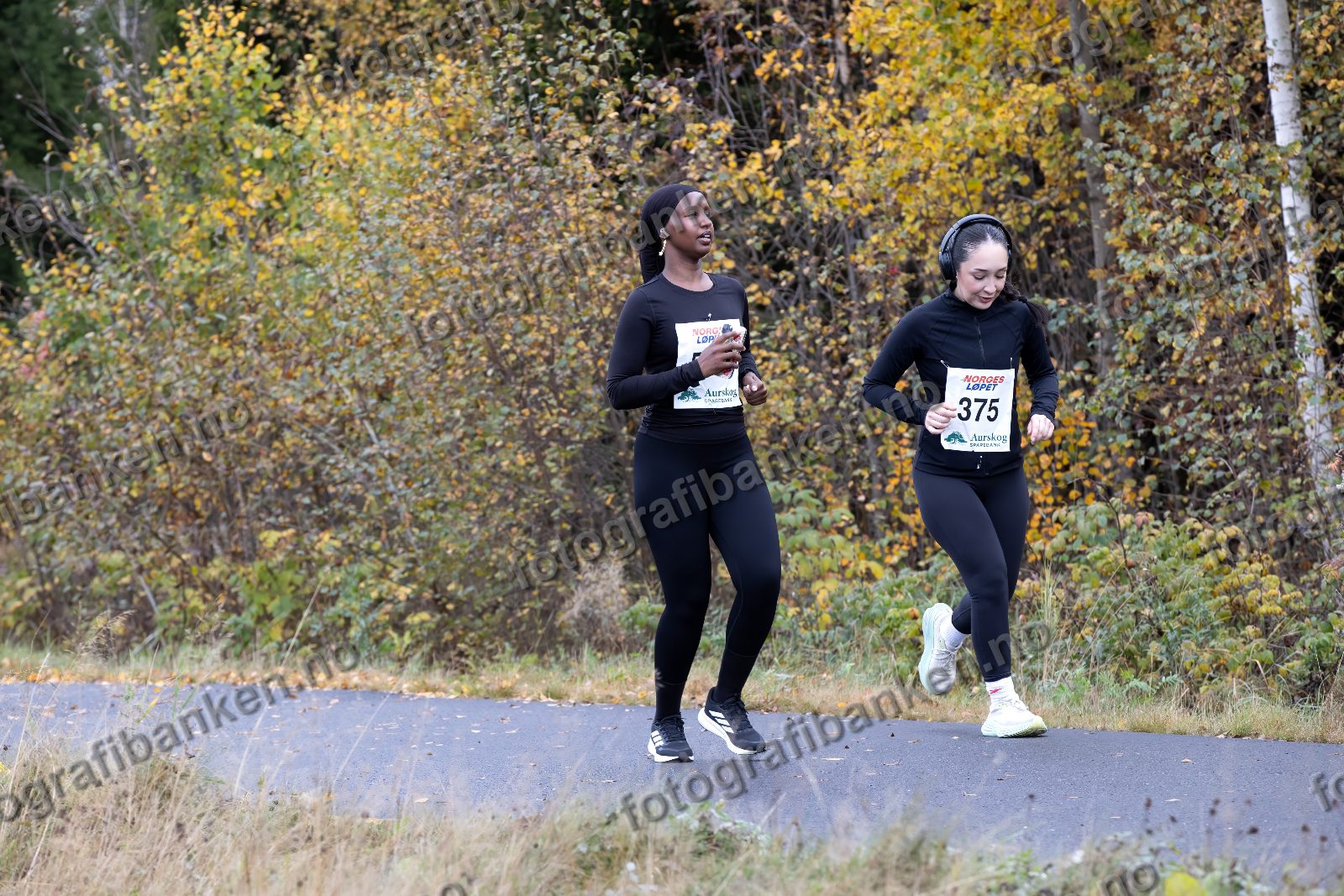 Bahjo Jama (589) · Alma Anine Solhaug Sander (375)