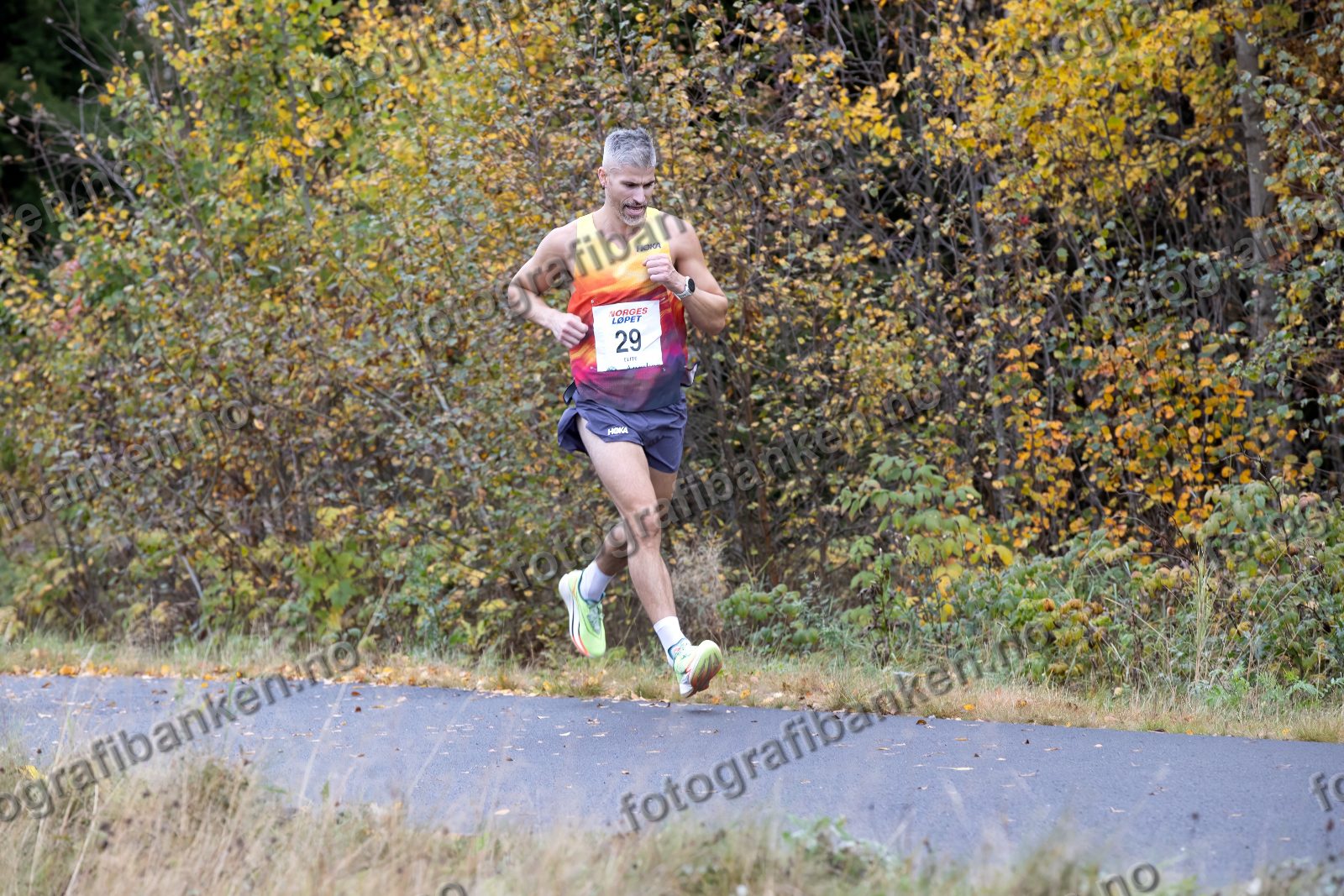 Simen Nieuwlat (29)