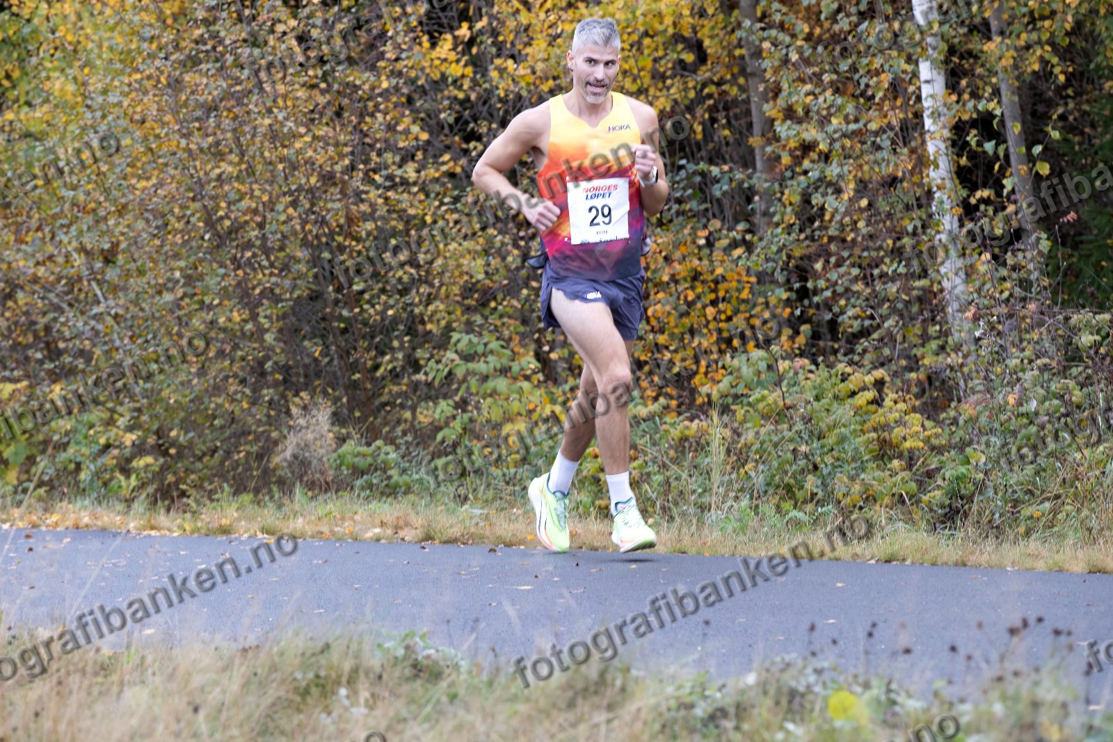 Simen Nieuwlat (29)