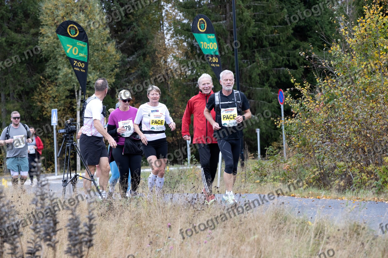 Petter Endsjø (98) · Karina Klufterud (379) · Tove Øier Vidje (99)