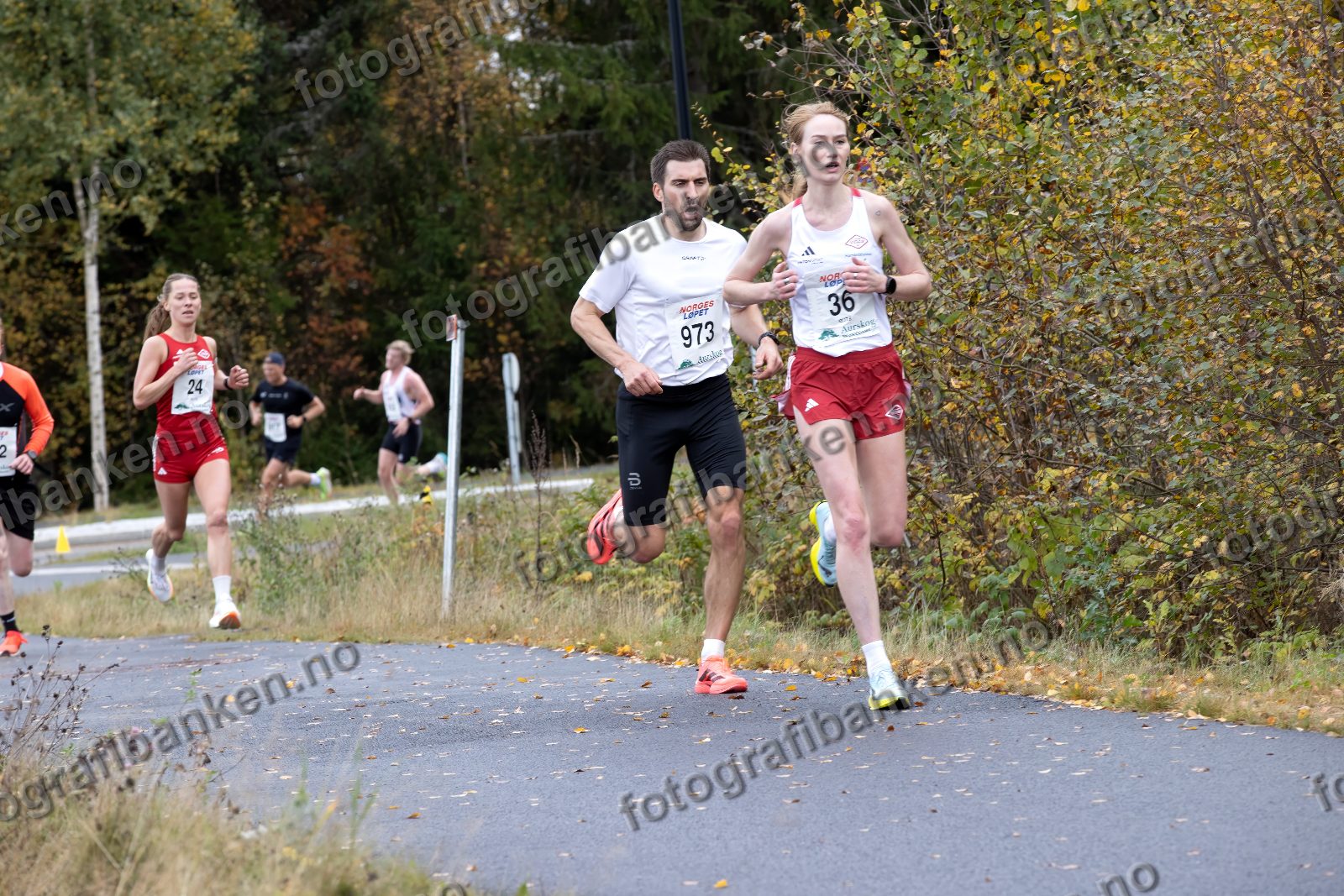 Anette Killerud Ødegård (36) · Mathilde Christin Knutsen (24) · Eirik Landheim (973)
