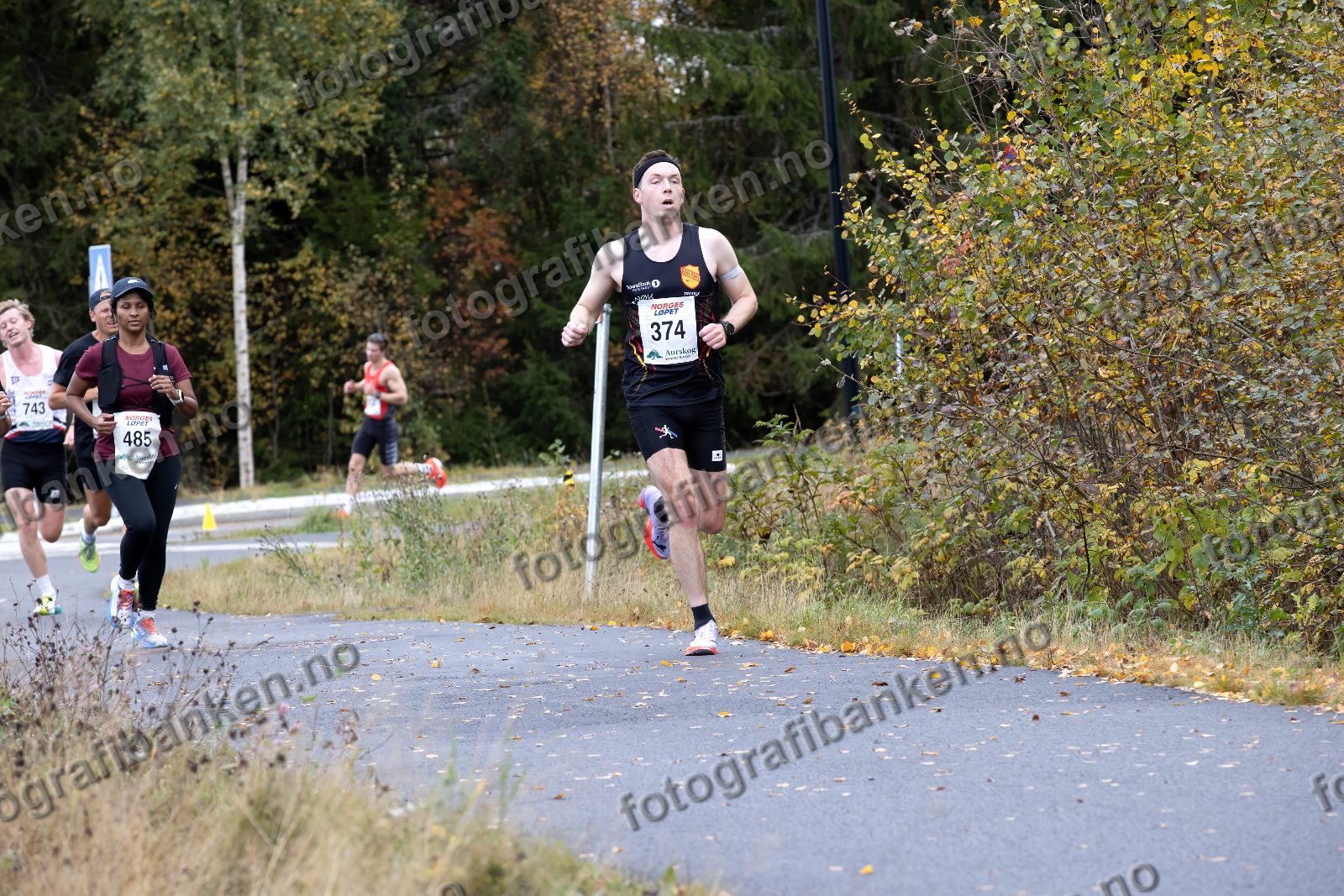 Magne Harborg (374)