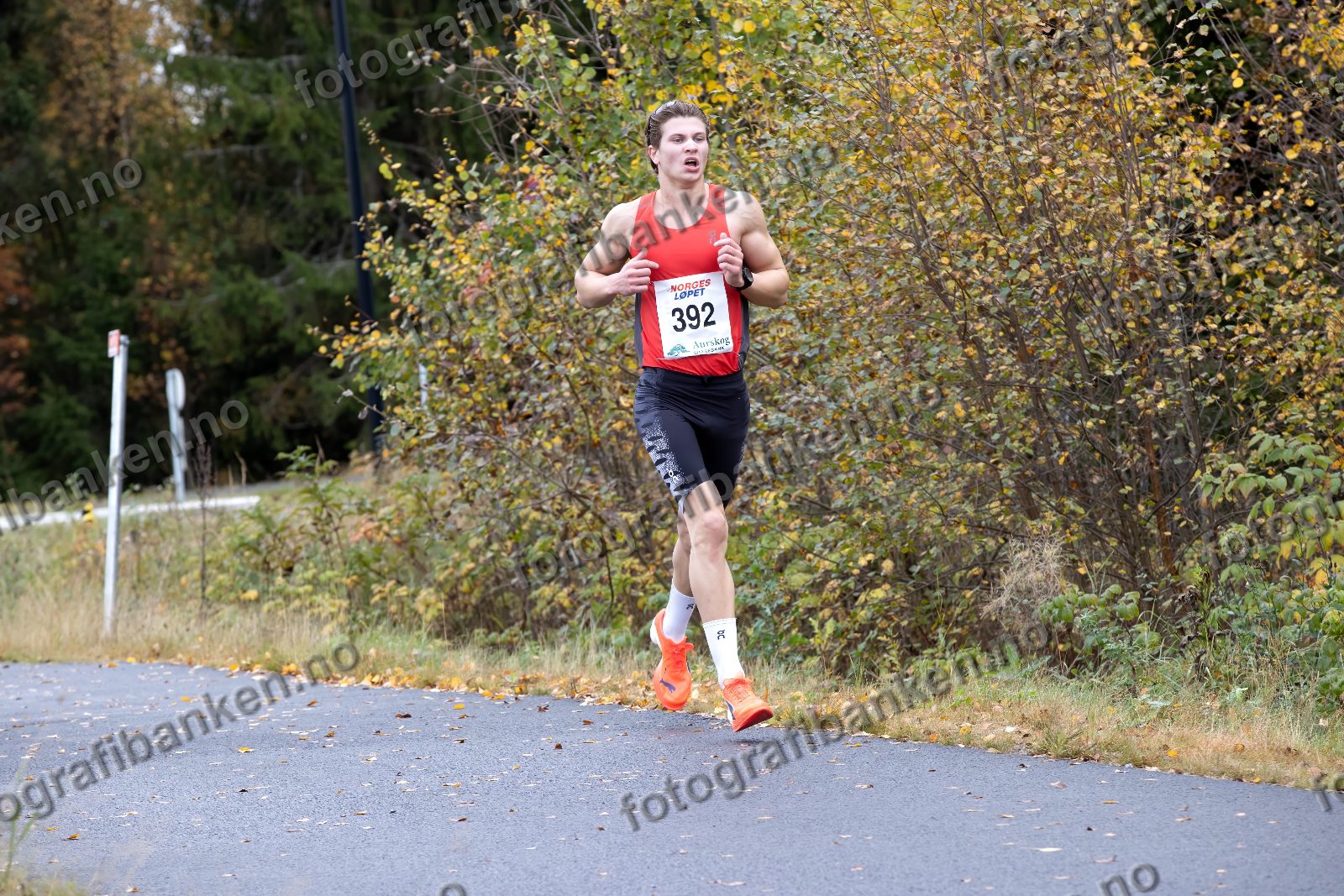 Eirik Halvorsen (392)