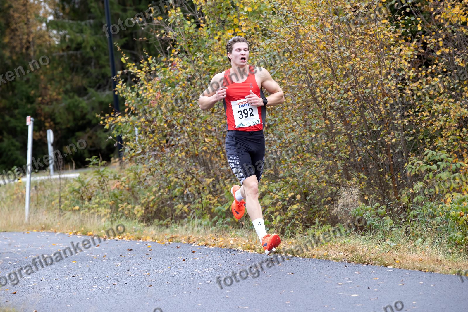 Eirik Halvorsen (392)