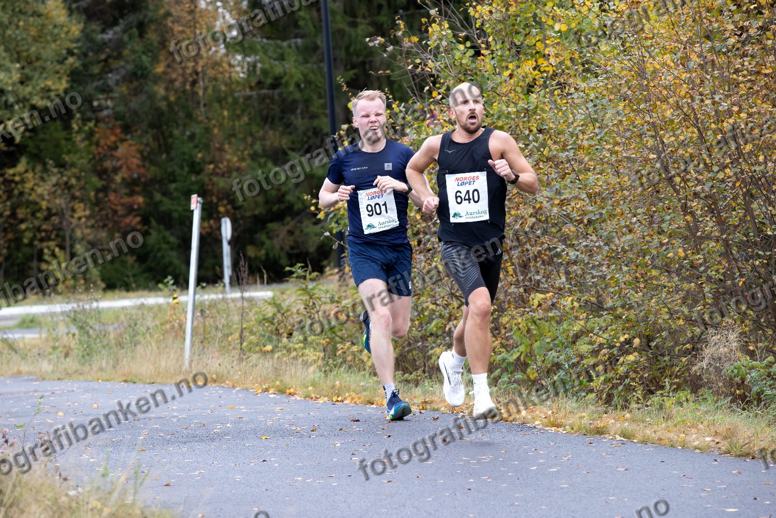 Amandus Sanden (901) · Kristian Rønning (640)