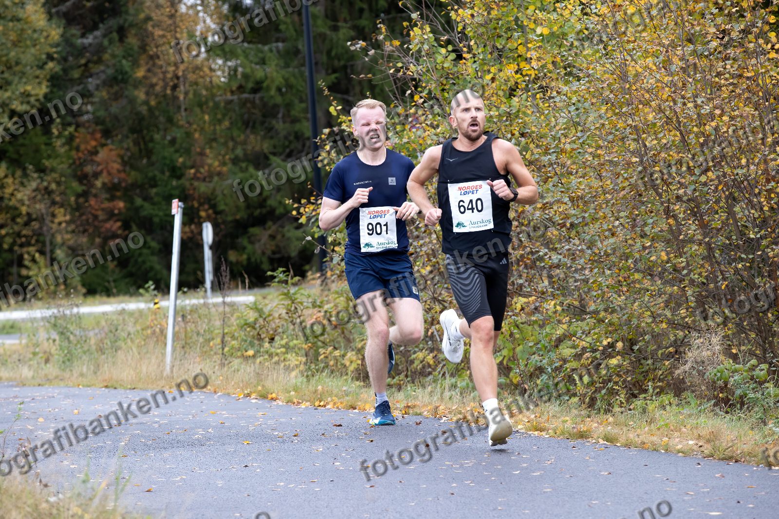 Amandus Sanden (901) · Kristian Rønning (640)