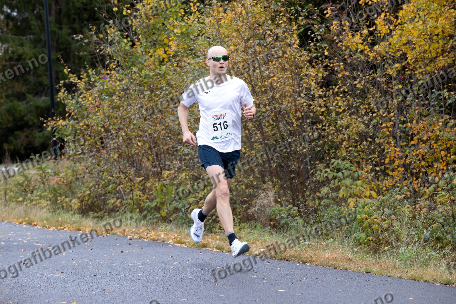 Bjørn Petter Grini (516)
