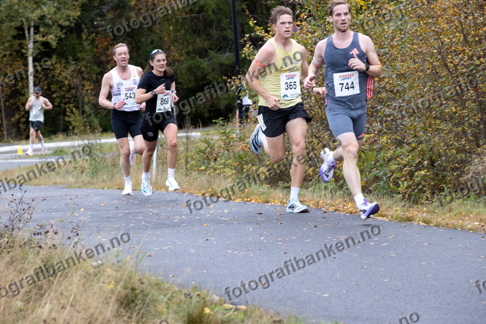 Håkon Hovland (744) · Johan Skjølberg (543) · Bente Losgård Landheim (868) · Erlend Laukvik (365)