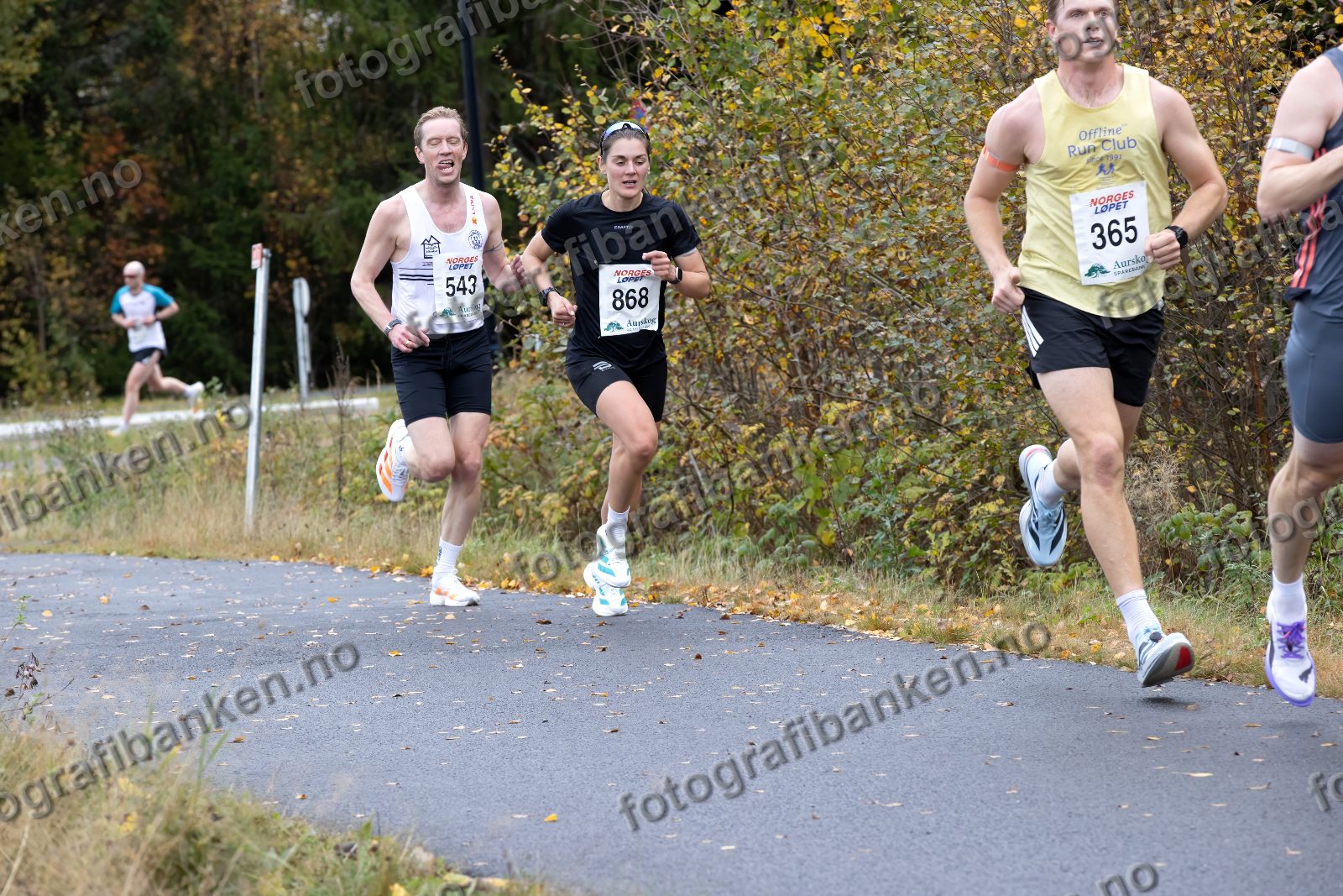 Erlend Laukvik (365) · Johan Skjølberg (543) · Bente Losgård Landheim (868)